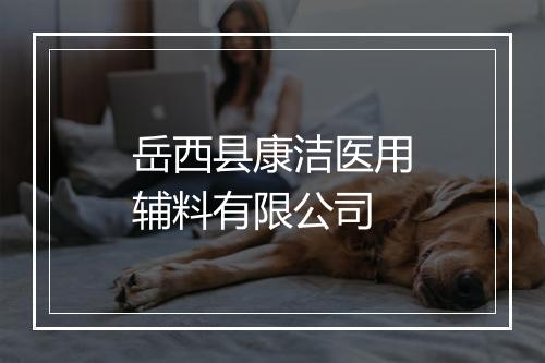 岳西县康洁医用辅料有限公司