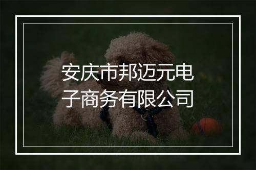 安庆市邦迈元电子商务有限公司