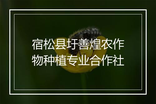 宿松县圩善煌农作物种植专业合作社