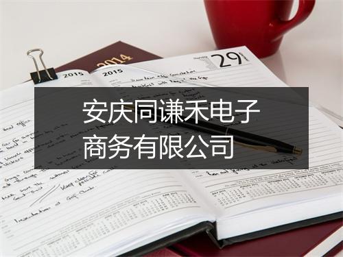 安庆同谦禾电子商务有限公司
