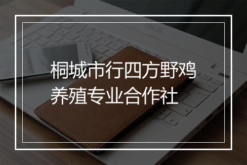 桐城市行四方野鸡养殖专业合作社