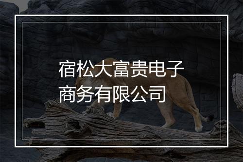 宿松大富贵电子商务有限公司