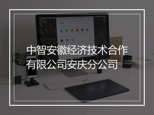 中智安徽经济技术合作有限公司安庆分公司