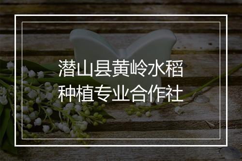 潜山县黄岭水稻种植专业合作社