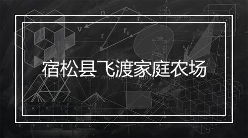 宿松县飞渡家庭农场