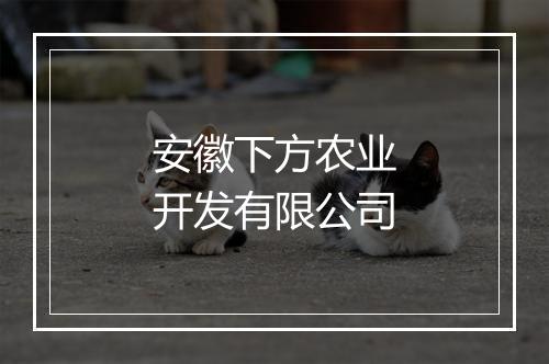 安徽下方农业开发有限公司