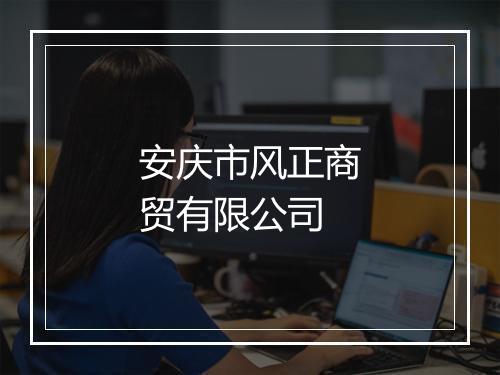 安庆市风正商贸有限公司