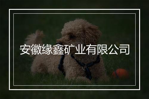 安徽缘鑫矿业有限公司