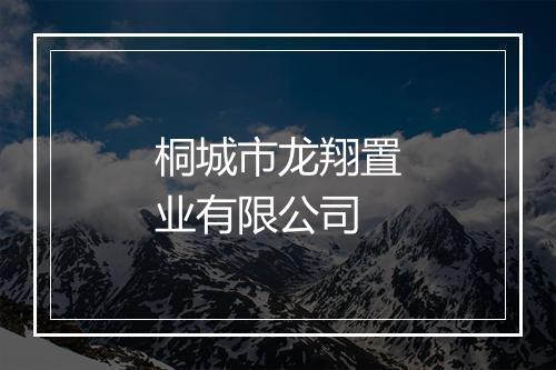 桐城市龙翔置业有限公司