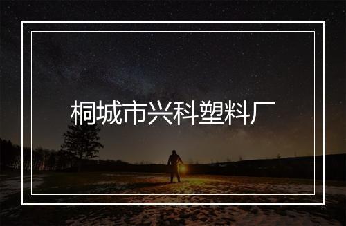 桐城市兴科塑料厂
