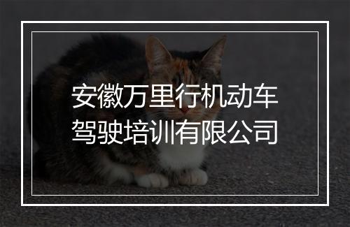 安徽万里行机动车驾驶培训有限公司
