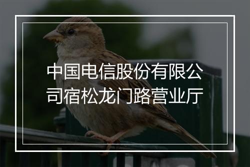中国电信股份有限公司宿松龙门路营业厅
