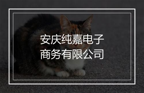 安庆纯嘉电子商务有限公司
