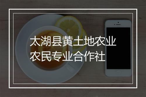 太湖县黄土地农业农民专业合作社
