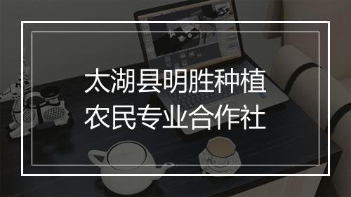 太湖县明胜种植农民专业合作社