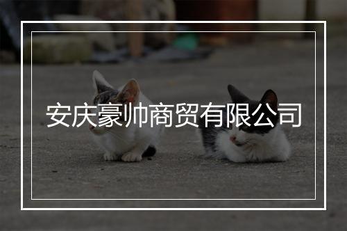 安庆豪帅商贸有限公司