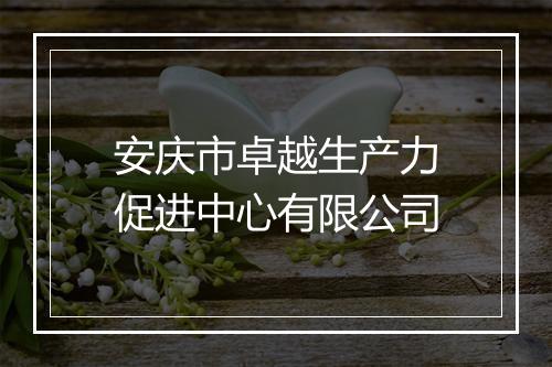 安庆市卓越生产力促进中心有限公司