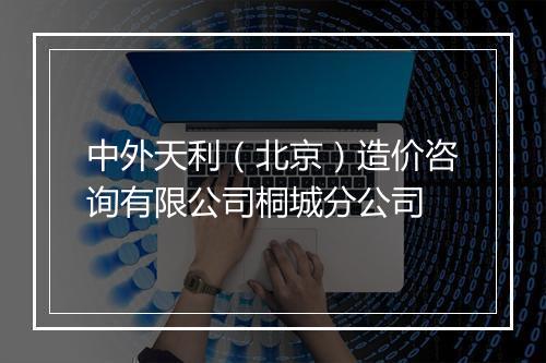 中外天利（北京）造价咨询有限公司桐城分公司