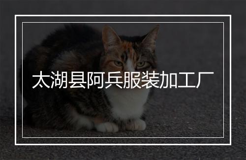 太湖县阿兵服装加工厂
