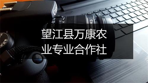 望江县万康农业专业合作社