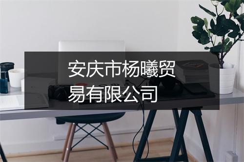 安庆市杨曦贸易有限公司