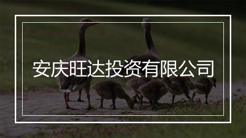 安庆旺达投资有限公司
