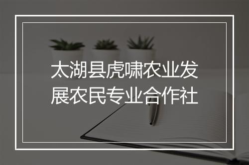太湖县虎啸农业发展农民专业合作社
