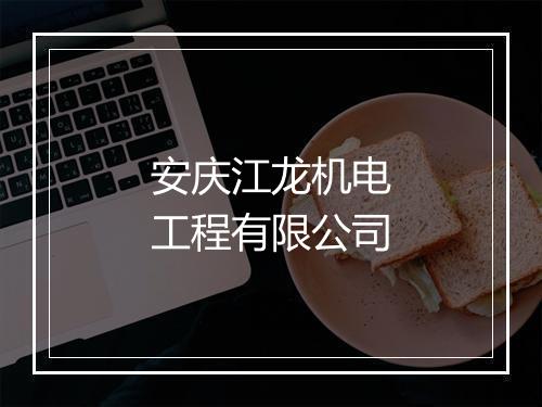 安庆江龙机电工程有限公司