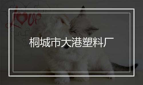 桐城市大港塑料厂