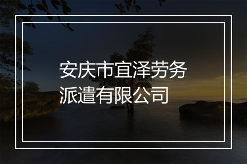 安庆市宜泽劳务派遣有限公司
