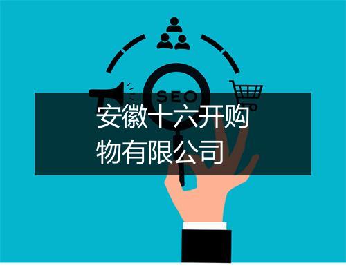 安徽十六开购物有限公司
