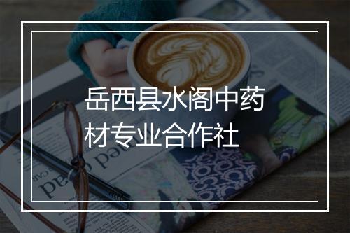 岳西县水阁中药材专业合作社