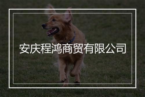 安庆程鸿商贸有限公司