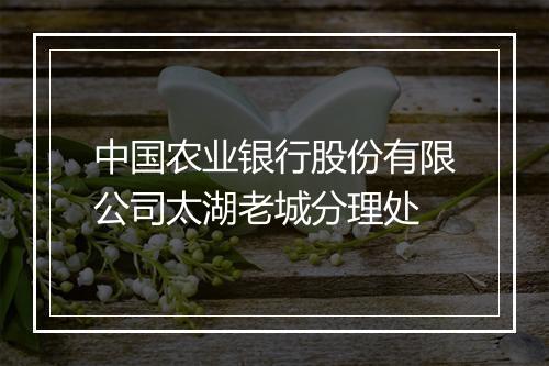 中国农业银行股份有限公司太湖老城分理处