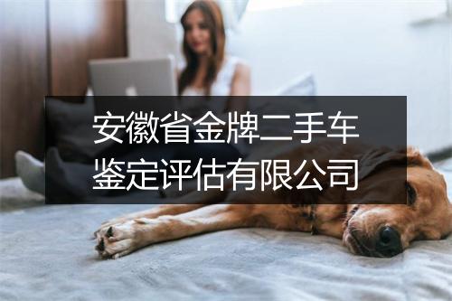 安徽省金牌二手车鉴定评估有限公司