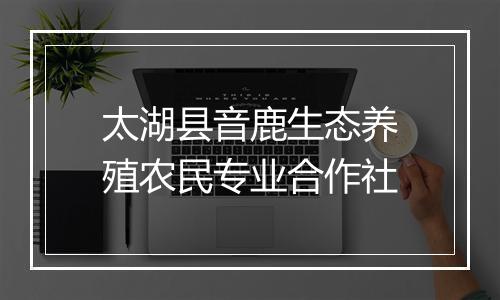 太湖县音鹿生态养殖农民专业合作社