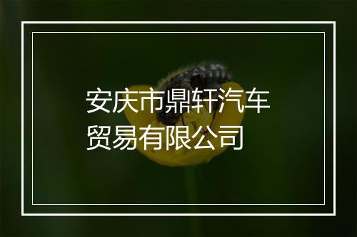 安庆市鼎轩汽车贸易有限公司