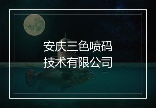 安庆三色喷码技术有限公司