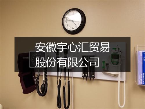 安徽宇心汇贸易股份有限公司