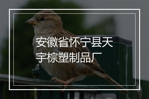 安徽省怀宁县天宇棕塑制品厂