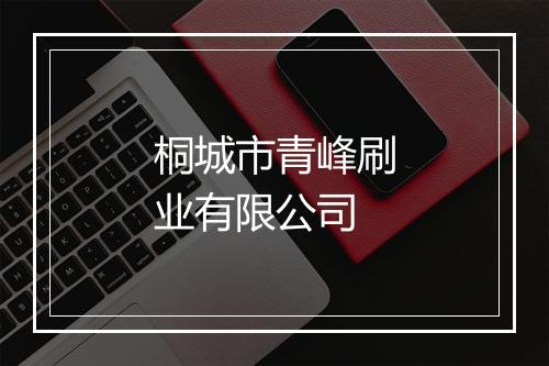 桐城市青峰刷业有限公司