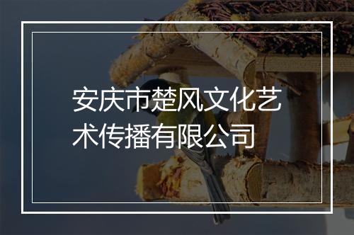 安庆市楚风文化艺术传播有限公司