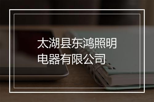 太湖县东鸿照明电器有限公司