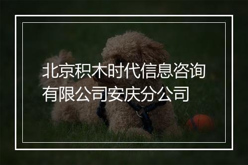 北京积木时代信息咨询有限公司安庆分公司