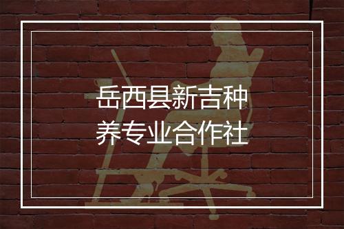 岳西县新吉种养专业合作社