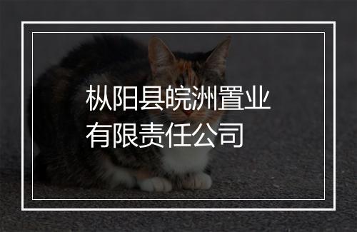 枞阳县皖洲置业有限责任公司
