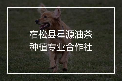 宿松县星源油茶种植专业合作社