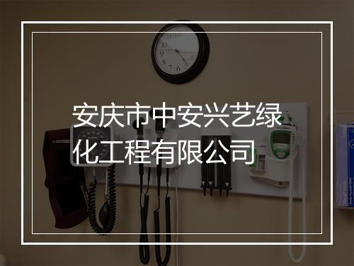 安庆市中安兴艺绿化工程有限公司