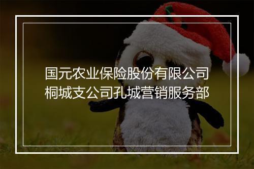 国元农业保险股份有限公司桐城支公司孔城营销服务部