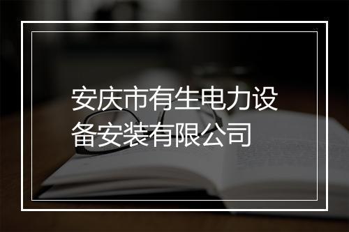 安庆市有生电力设备安装有限公司
